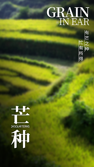 中国传统二十四节气芒种节气宣传海报