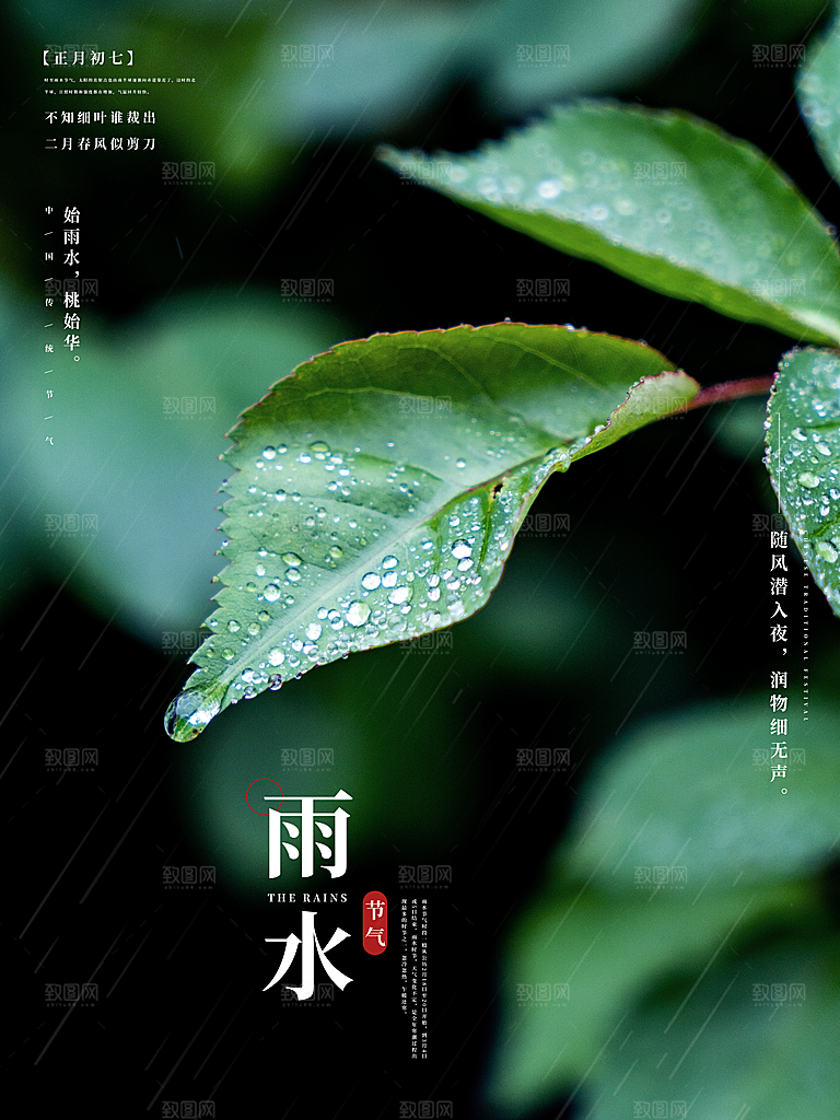 雨水节气简约大气海报