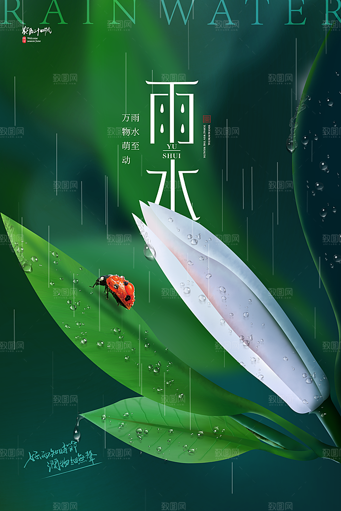 雨水节气简约大气海报
