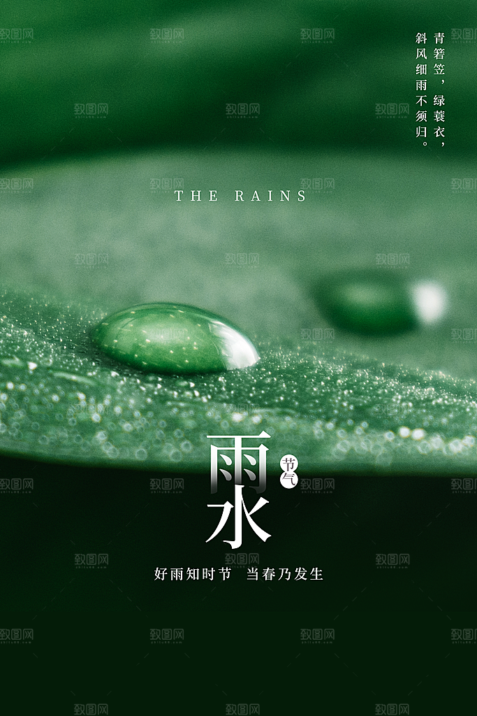 传统节气雨水海报模板