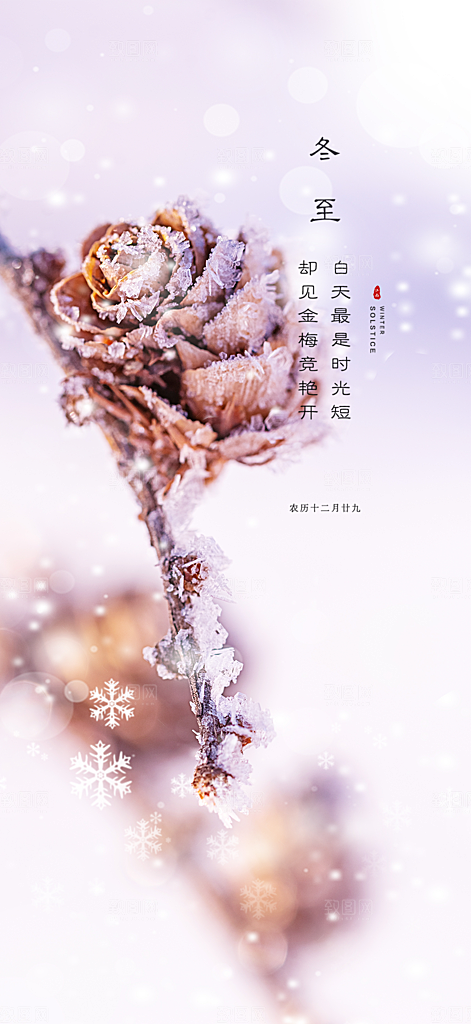 二十四节气冬至宣传活动海报