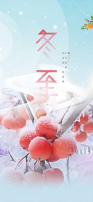 二十四节气冬至宣传活动海报