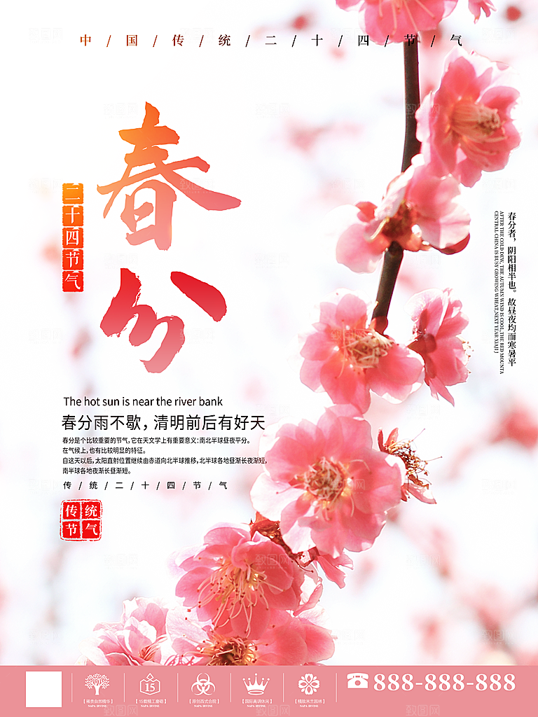 春分节气简约大气海报