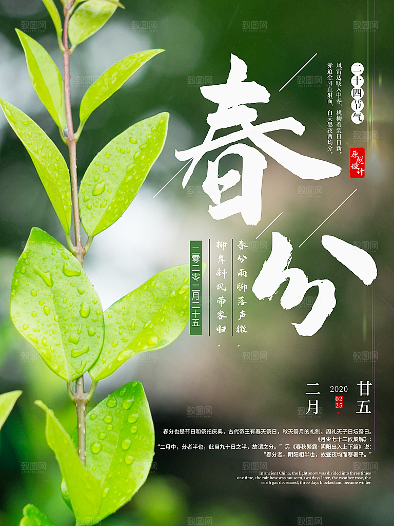 春分节气简约大气海报