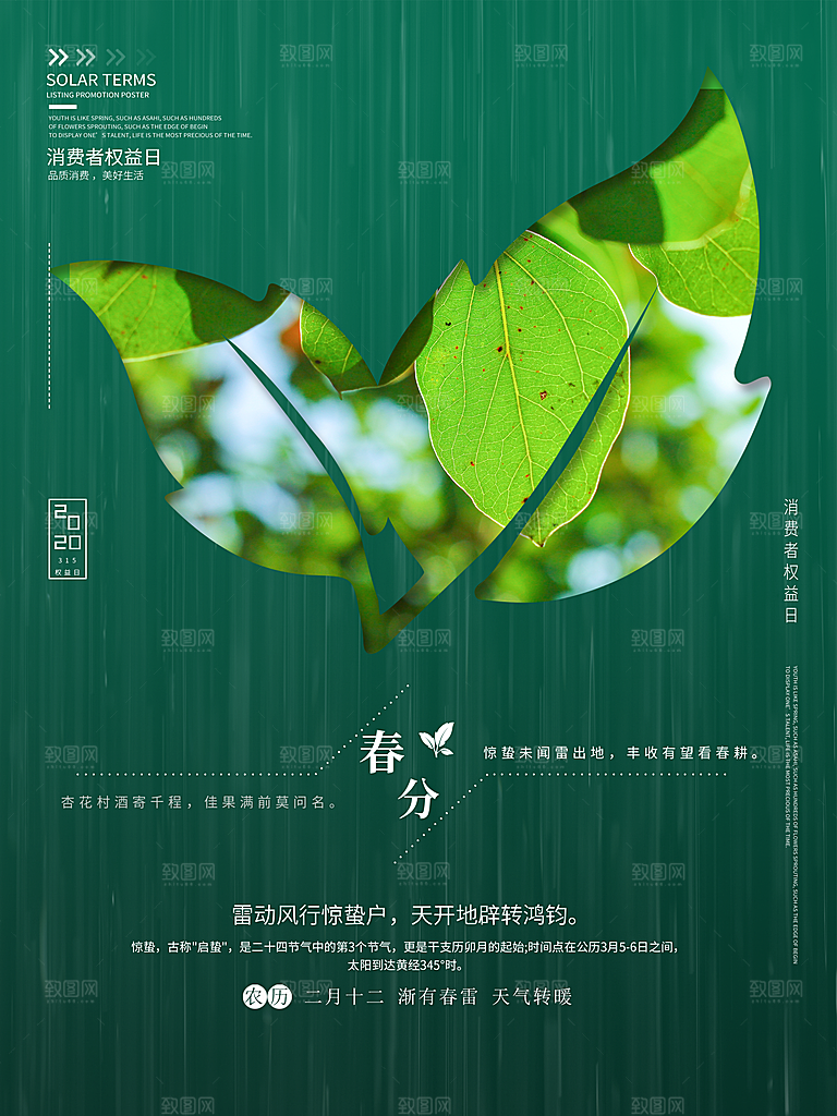 春分节气简约大气海报