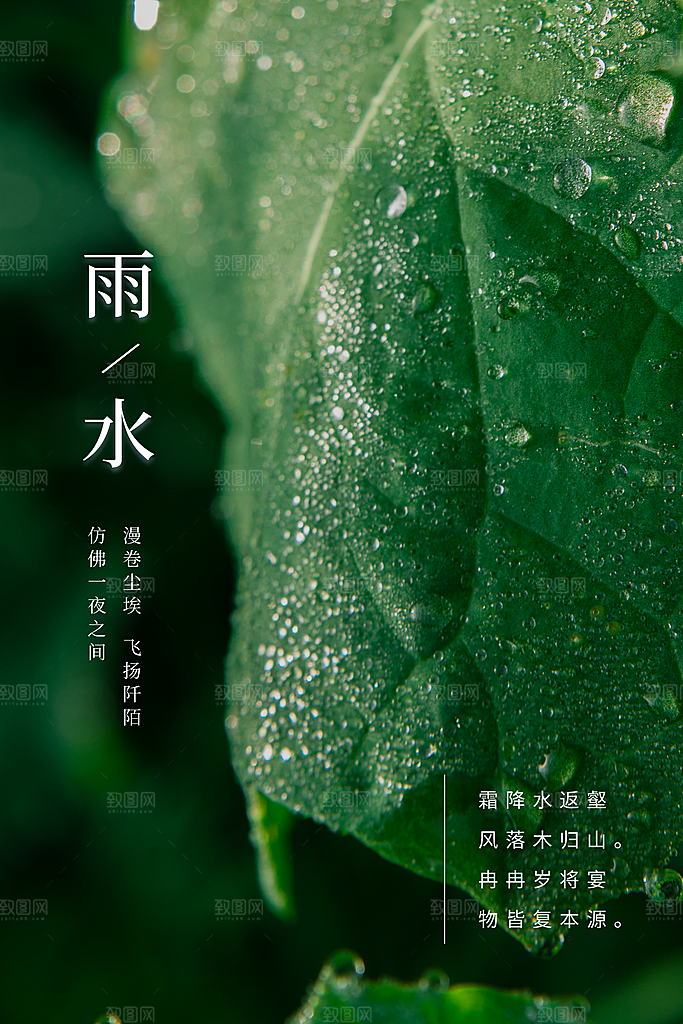 传统节气雨水海报模板