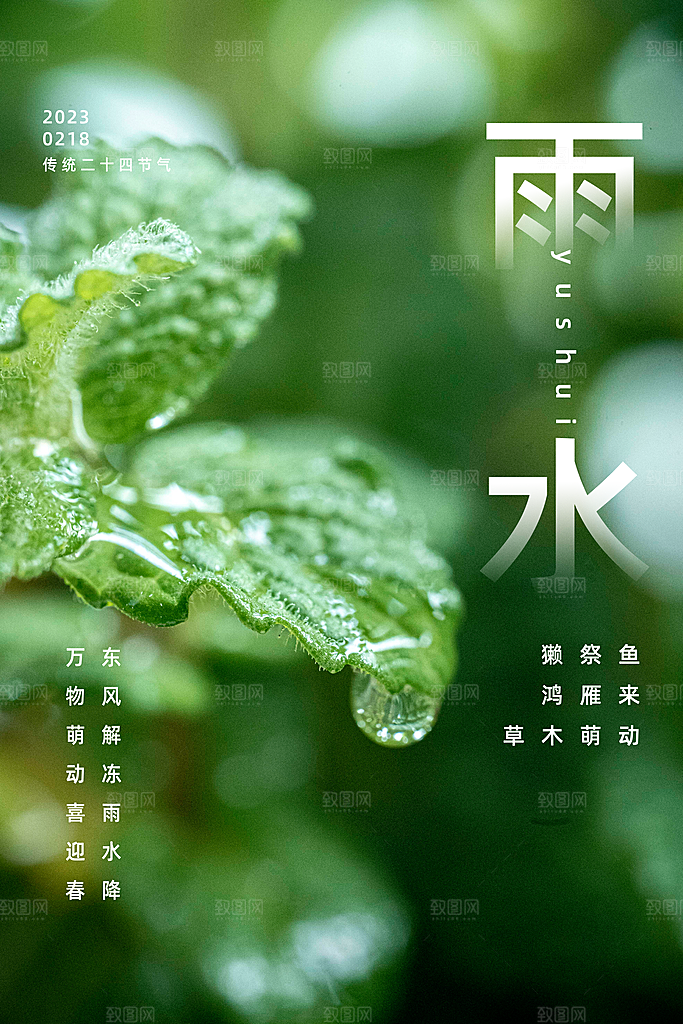 雨水节气简约大气海报