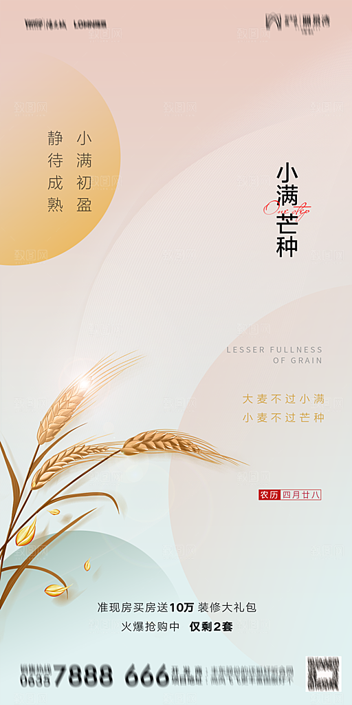 芒种节气简约大气海报