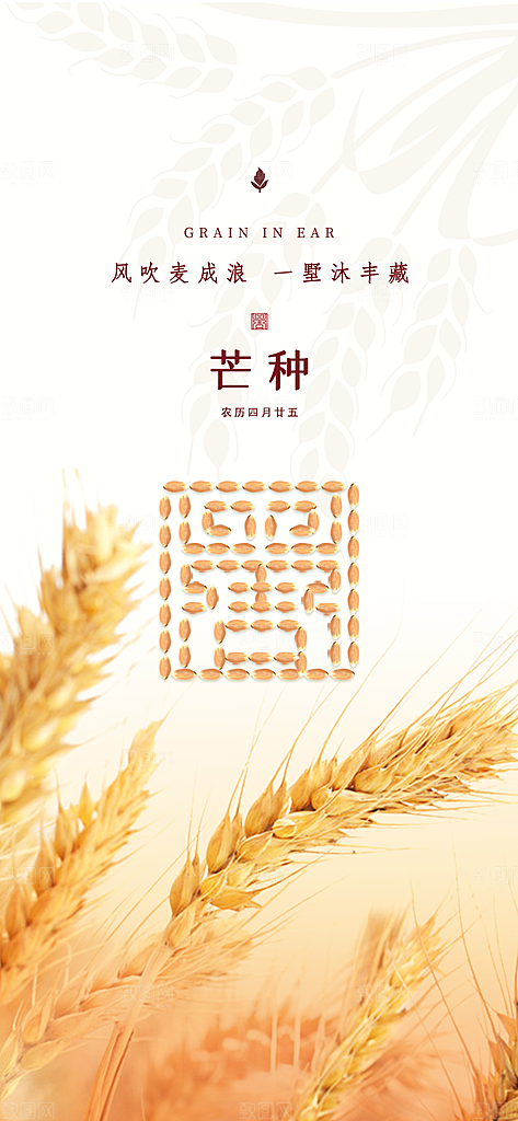 芒种节气简约大气海报