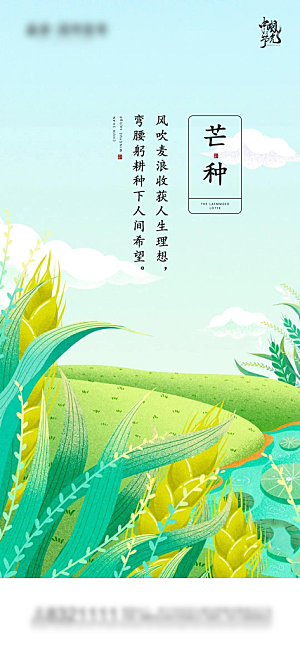 芒种节气简约大气海报