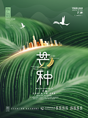芒种节气简约大气海报