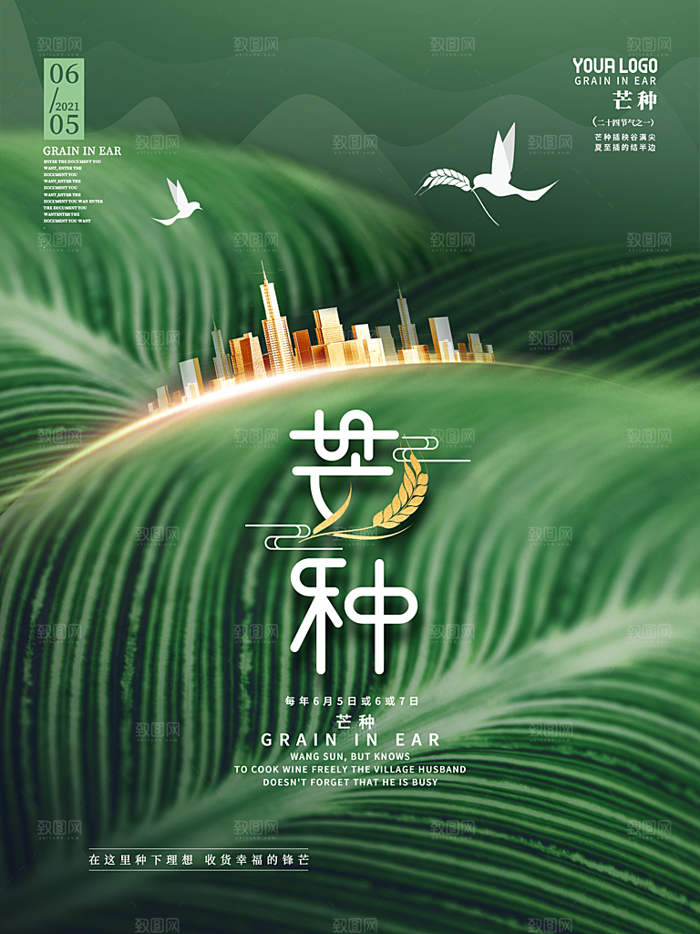 芒种节气简约大气海报