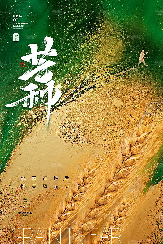 传统节气芒种海报模板