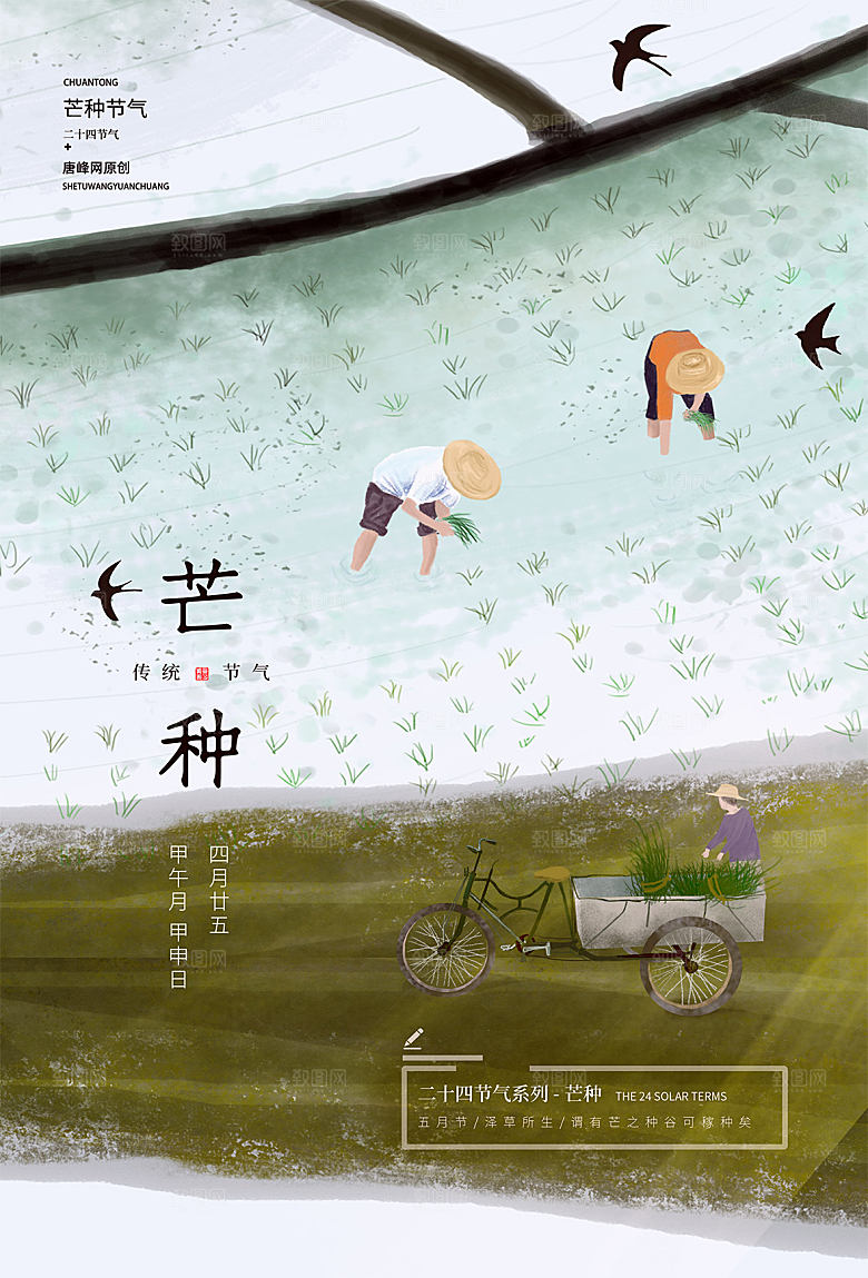传统节气芒种海报模板