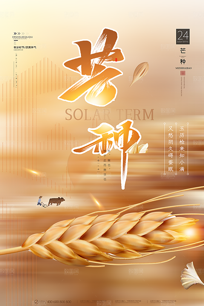 芒种节气简约大气海报