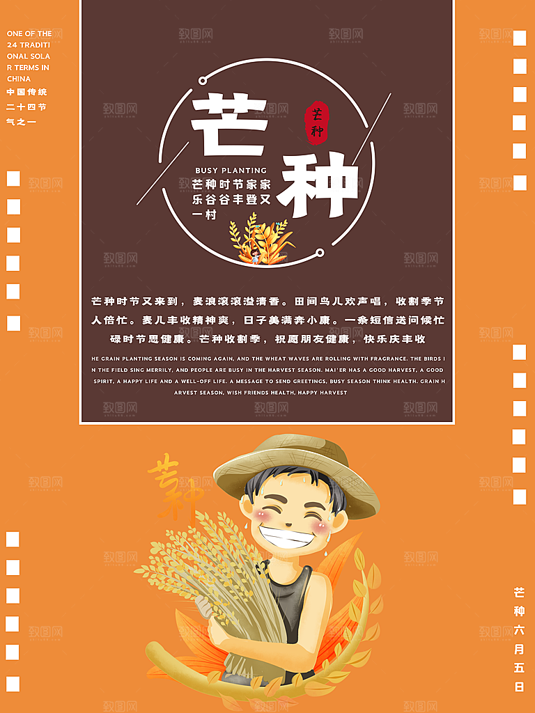 芒种节气简约大气海报