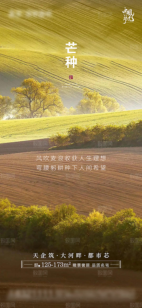 芒种节气简约大气海报