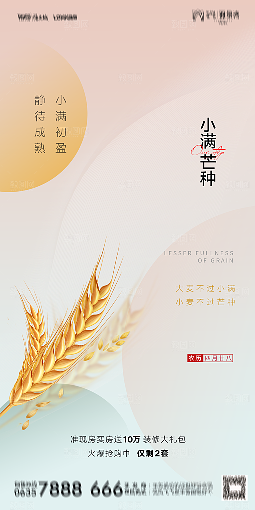 芒种节气简约大气海报
