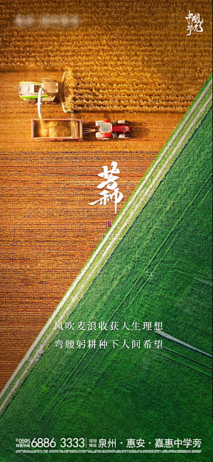 传统节气芒种海报模板