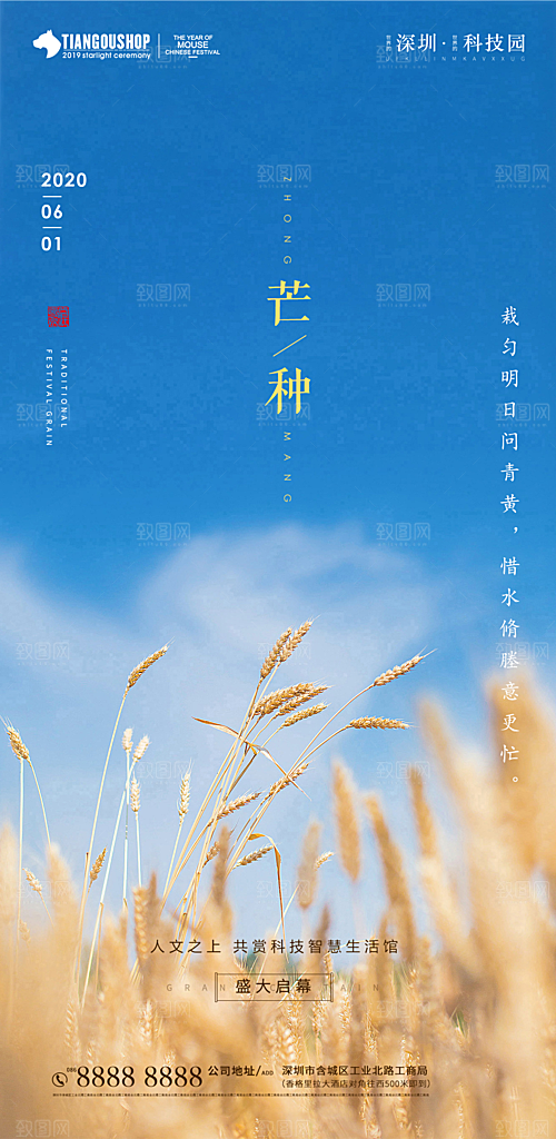 传统节气芒种海报模板