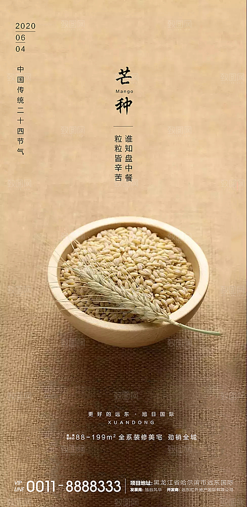芒种节气简约大气海报