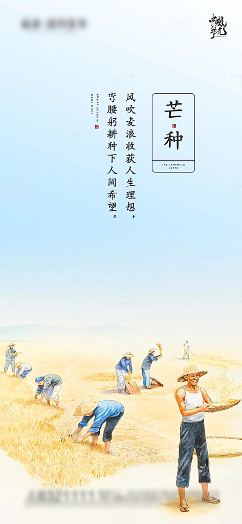 芒种节气简约大气海报