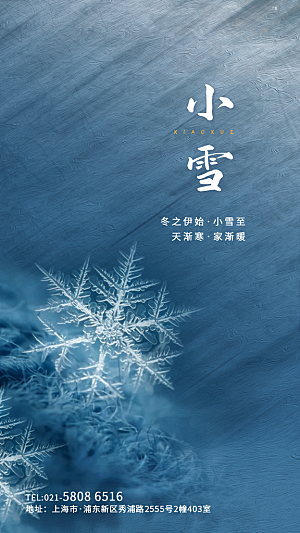 小雪节气简约大气海报