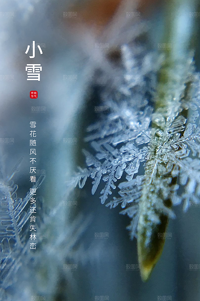 小雪节气简约大气海报