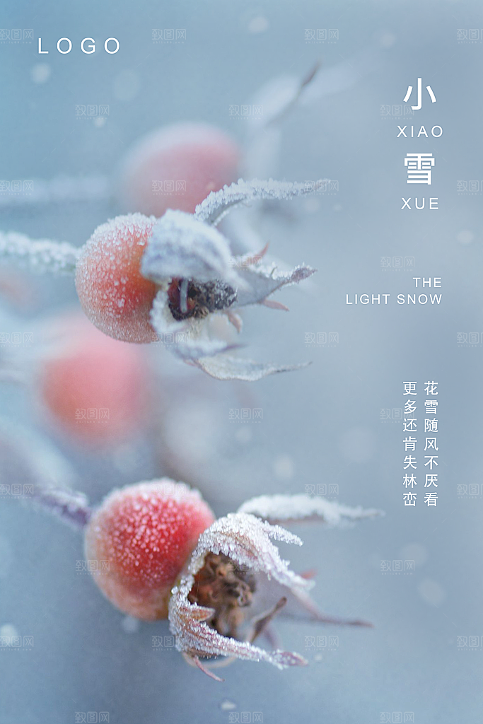 小雪节气简约大气海报