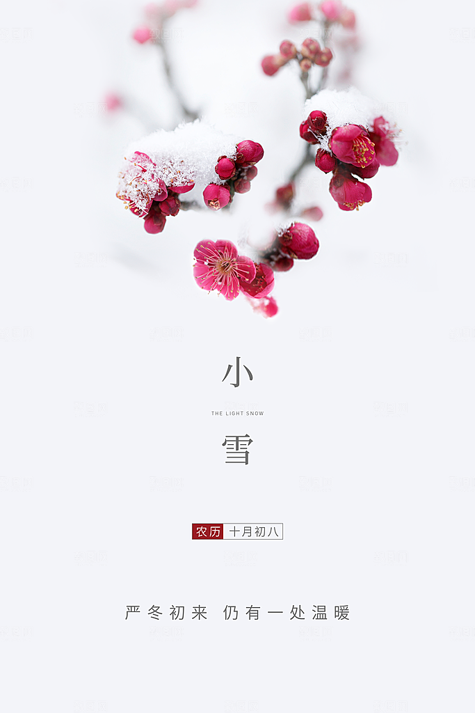 小雪节气简约大气海报