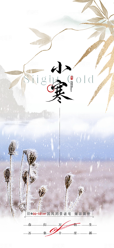 传统二十四节气小寒宣传活动海报