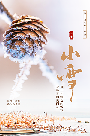 小雪节气简约大气海报