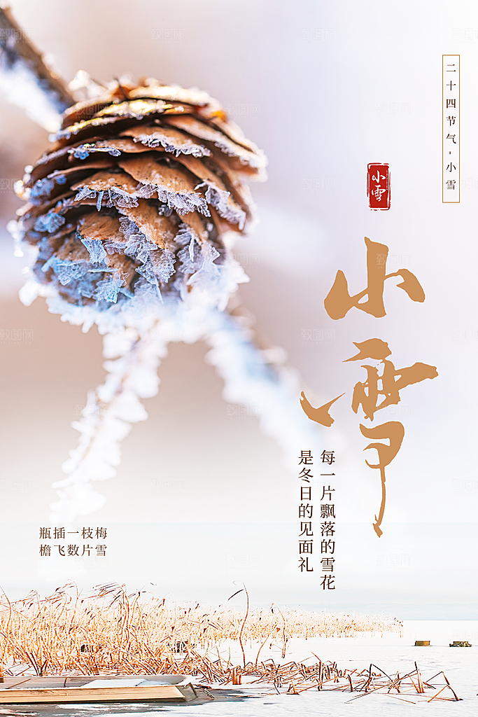 小雪节气简约大气海报