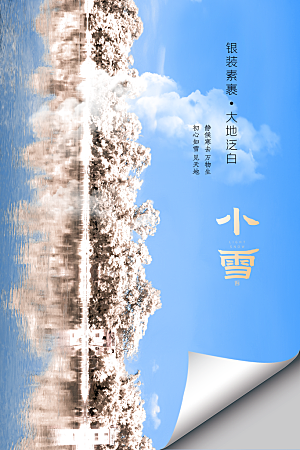 小雪节气简约大气海报