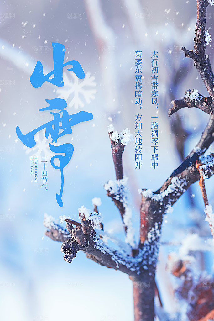 传统节气小雪海报模板
