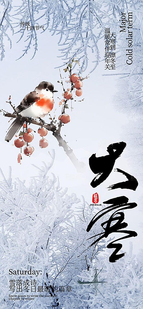 传统二十四节气大寒宣传活动海报