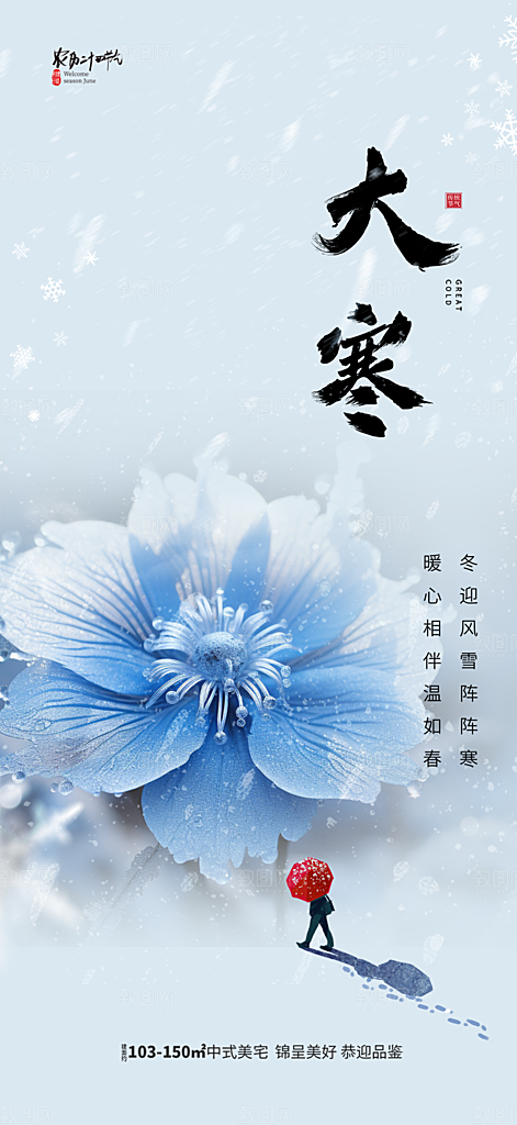 传统二十四节气大寒宣传活动海报