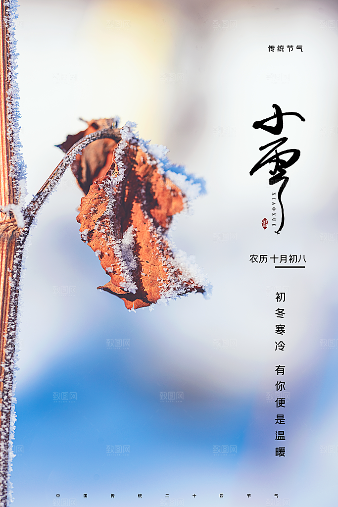 小雪节气简约大气海报
