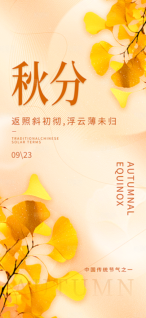 秋分节气简约大气海报