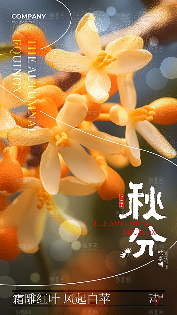 秋分节气简约大气海报