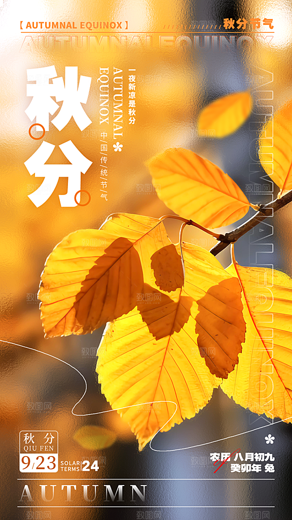 秋分节气简约大气海报