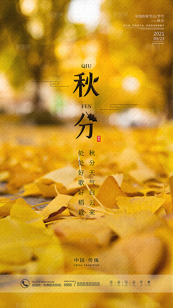 秋分节气简约大气海报
