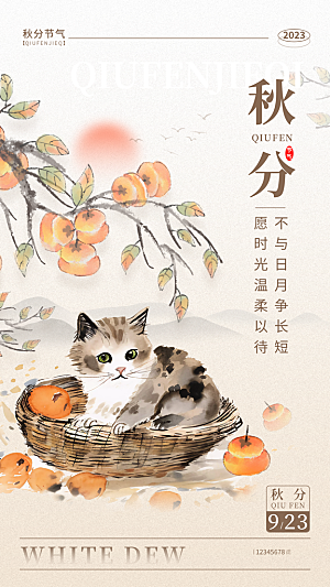 秋分节气简约大气海报