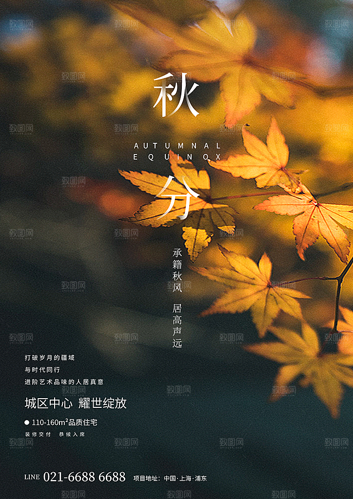 传统节气秋分海报模板