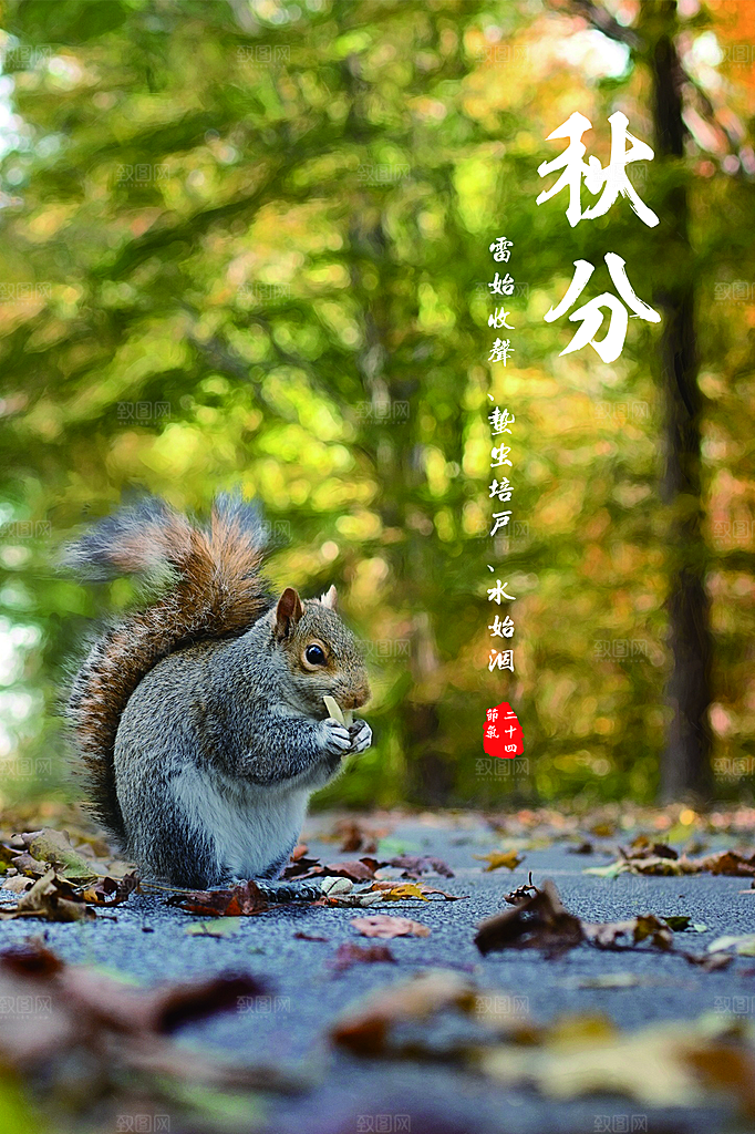 秋分节气简约大气海报