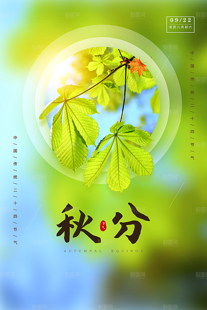 传统节气秋分海报模板