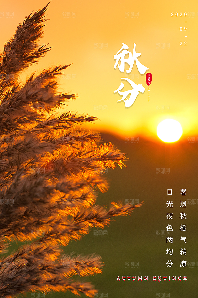 传统节气秋分海报模板