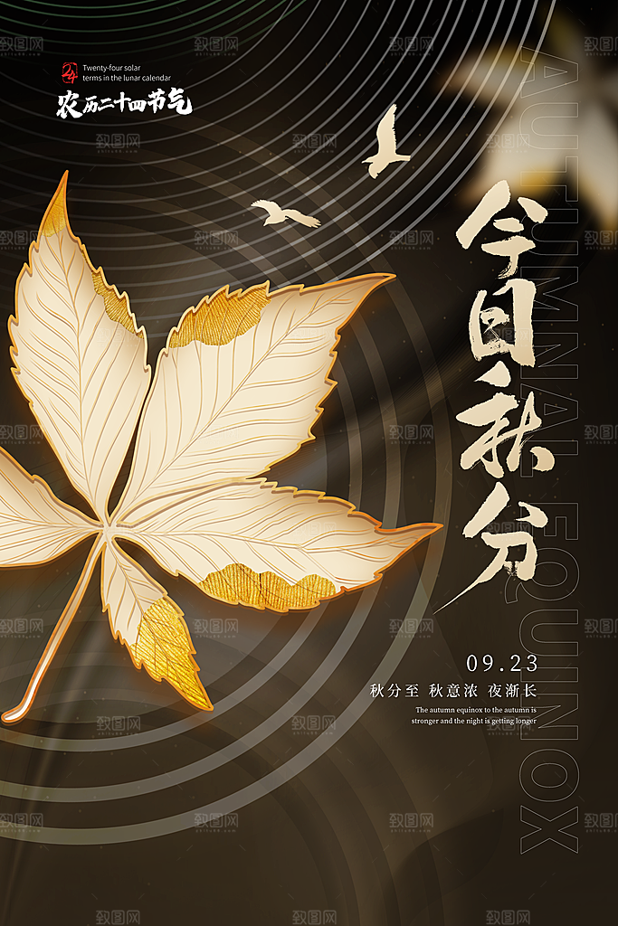 秋分节气简约大气海报