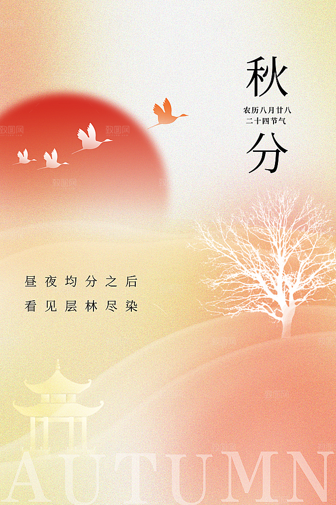 秋分节气简约大气海报