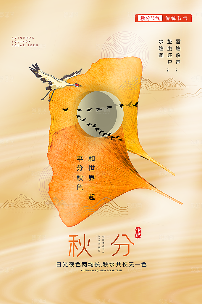 传统节气秋分海报模板